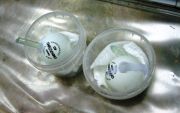 Влияние глубины проникновения кремнийорганических гидрофобизаторов на морозостойкость строительных изделий Влияние глубины проникновения кремнийорганических гидрофобизаторов на морозостойкость строительных изделий